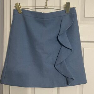 J.Crew skirt